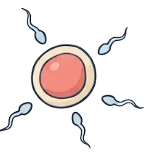Low Sperm Count